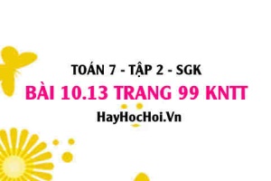 Bài 10.13 trang 99 Toán 7 Tập 2 Kết nối tri thức